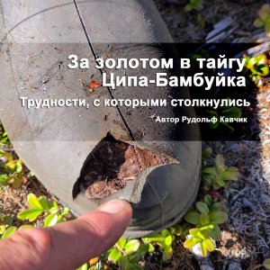 За золотом в тайгу Ципа-Бамбуйка Как добраться до золота трудности снаряжение оборудование поиск