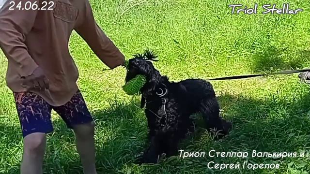 11 июля 2022 г. смотреть онлайн