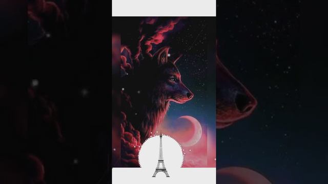 Wolf Best Wallpapers Status смотреть онлайн