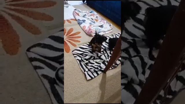 7 сентября 2023 г.