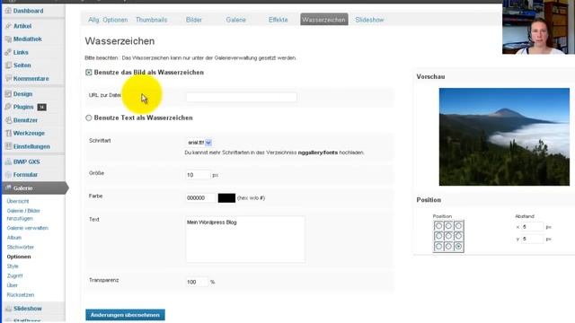 NextGEN Gallery WordPress Plugin - Teil 2 смотреть онлайн