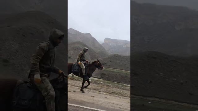 Очень резвая лошадь смотреть онлайн