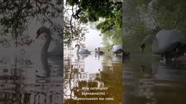 Ежедневная настройка смотреть онлайн