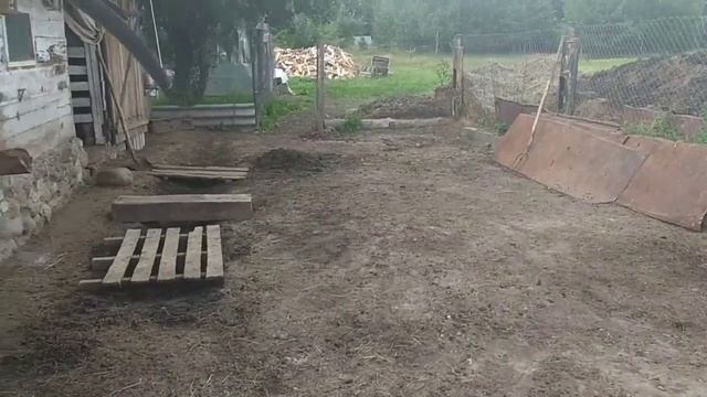 Чем заняться на козьем дворе и как живут козы с Елизаветеного хуторка смотреть онлайн