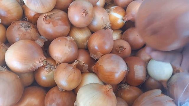 ЦЕНЫ НА КАРТОФЕЛЬ И НА ЛУК РЕПЧАТЫЙ В АНКАРЕ ПО СОСТОЯНИЮ НА 9 НОЯБРЯ 2023 ГОДА смотреть онлайн