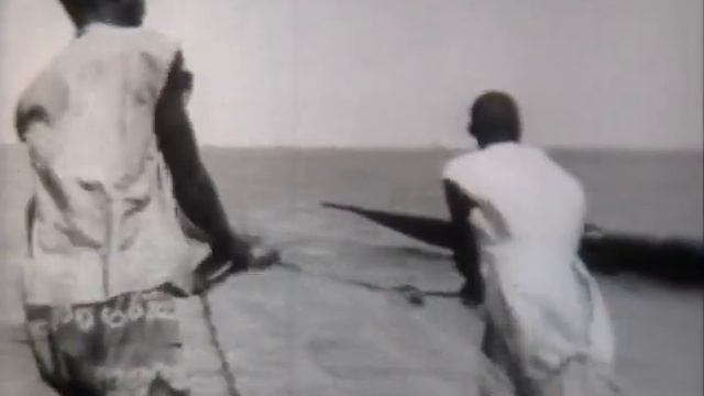 Реки Африки смотреть онлайн