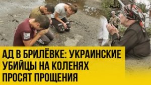 Стоят на коленях, но не поможет: наводчики ВСУ убили всю семью. Не для слабонервных!