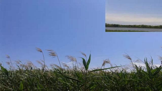 Музыка для поднятия настроения. Рыбалка. смотреть онлайн