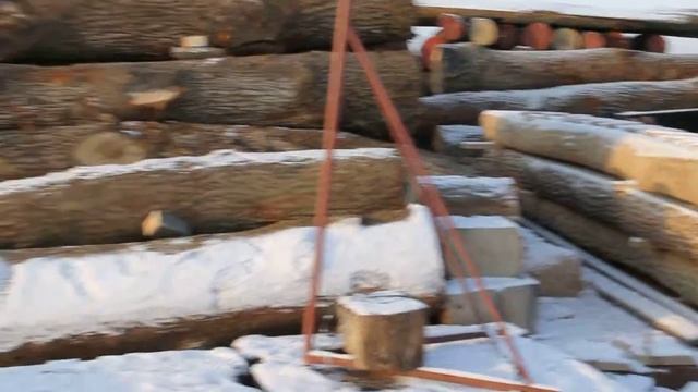 Лесная биржа. Январь 2014