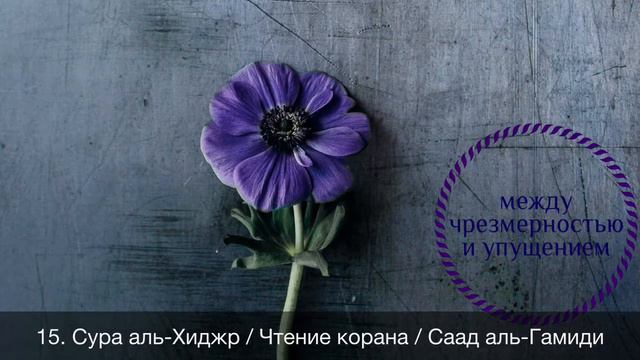 15. Сура аль-Хиджр / Чтение корана / Саад аль-Гамиди смотреть онлайн