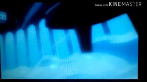 Ди Грей Мен только шут (аниме клип)