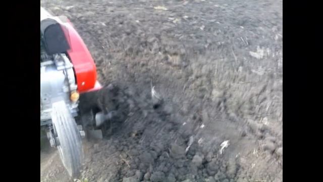Как правильно работать культиватором! смотреть онлайн