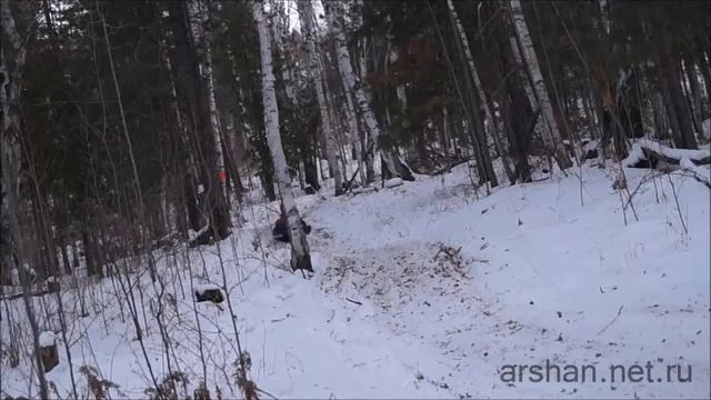 Отдых в Аршане зима Arshan.net.ru