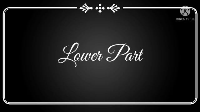 A French Duet - Seth Mamaril