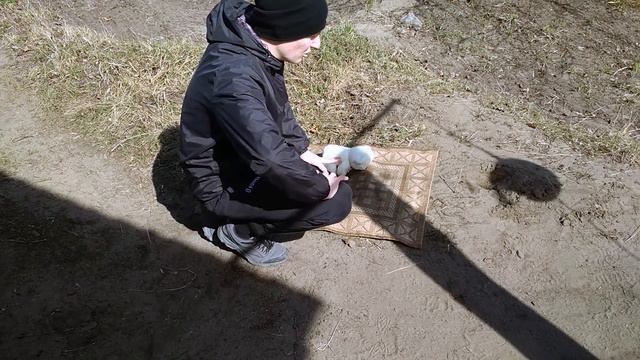 Самозащита против Животных смотреть онлайн