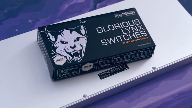 I Tried the GMMK Pro (So You Don't Have to.) смотреть онлайн