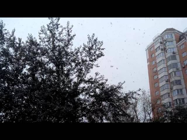 Первый снег в Москве смотреть онлайн