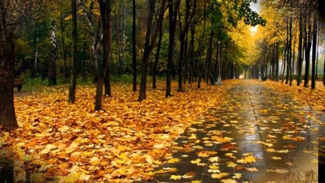 осенняя пора,очей очарованье смотреть онлайн