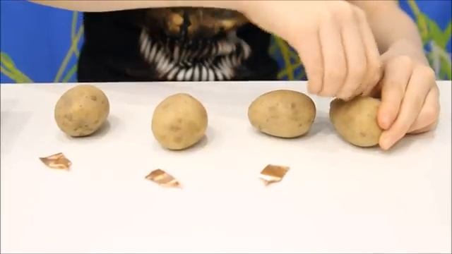 Кирилл Джереми и Свинотрон против АНИМАТРОНИКОВ Электричество из Картошки ОПЫТЫ ДЛЯ ДЕТЕЙ #FNaF смотреть онлайн