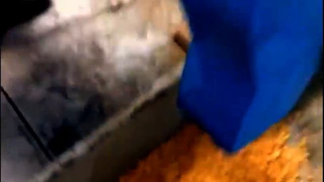 Шелушитель люпина от РостПищМаш смотреть онлайн