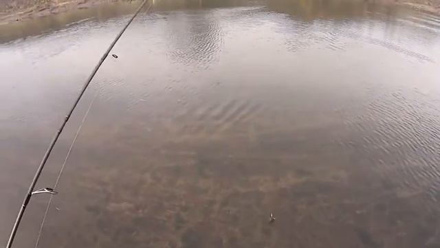 Щука хорошо идет! отлично смотреть онлайн