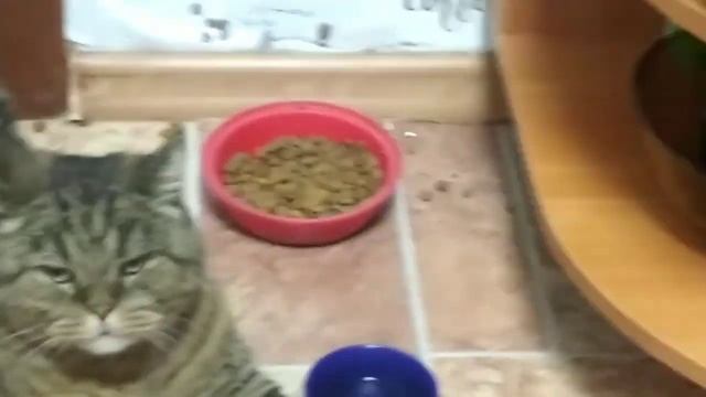 Влог: вкусная шаурма/гуляем по парку/уборка вместе ❤