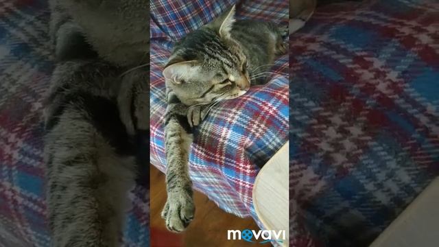 #Чем занять детей#Рукоделие для девочек# смотреть онлайн