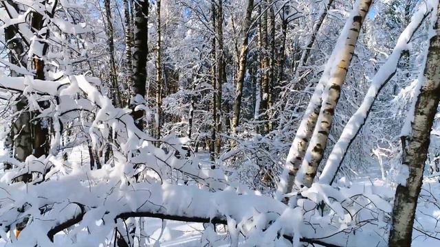 Красивая энигматик-музыка для души! Сергею Чекалину - Русская зима !! смотреть онлайн
