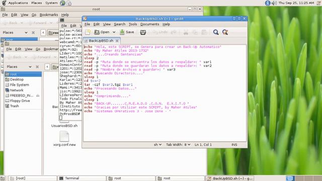 FreeBSD Scripts #6 смотреть онлайн