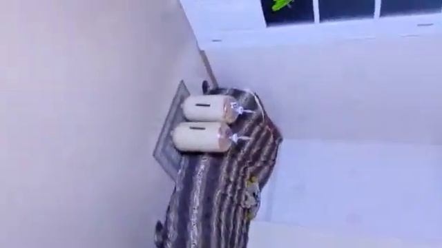 подарок нашего одногруппникам Чухряева Юрия!!! спасибо большое 🤝🤝🤝 смотреть онлайн