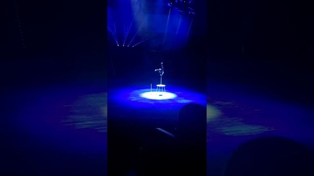 Часть2 Сочинский цирк - фестиваль необыкновенное чудо! #цирксочи смотреть онлайн