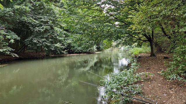 Малый водоём!!! Рыбалка. смотреть онлайн