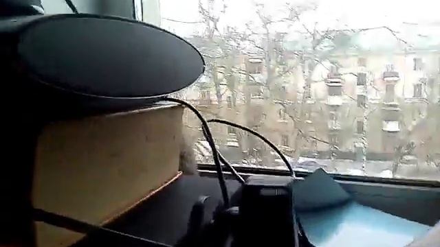 МОЙ КОТЕНОК ПО ИМЕНИ ЕВА смотреть онлайн