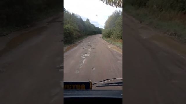 Пестово новгородская область