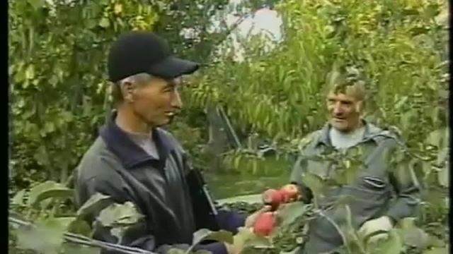 Farmers' experience growing and storing local fruit crops in Issyk-Kul region, Kyrgyzstan смотреть онлайн