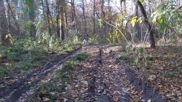 31.10.23 Алабай Булат и финальный день октября ч.2 смотреть онлайн