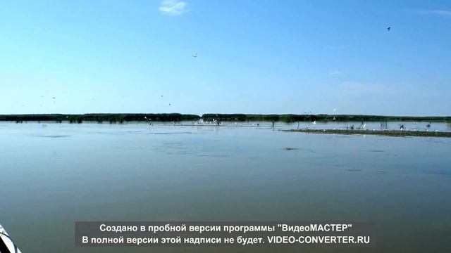 Рыбалка в Астрахани.Лотос Астраханский 2014 смотреть онлайн