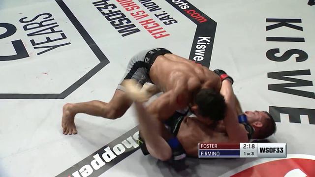 Brian Foster vs Luiz Firmino | WSOF 33, 2016 смотреть онлайн