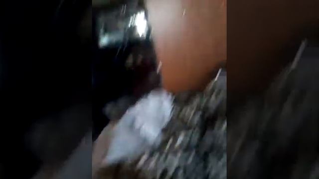 Как поймать кошку не вставая с дивана смотреть онлайн