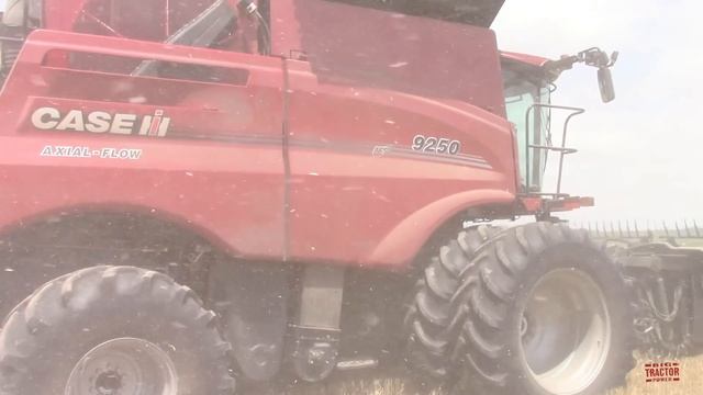 CASE IH 6150 Axial-Flow Combine Harvesting Wheat
