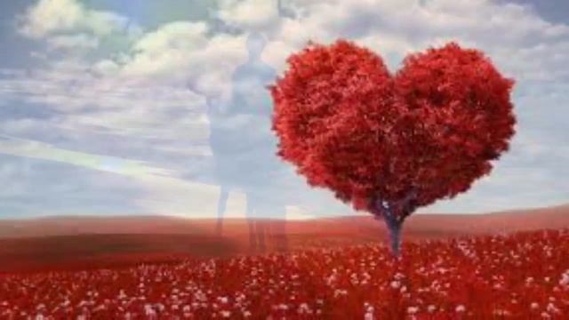 15 ЛУННЫЙ ДЕНЬ | КАКОЙ СЕГОДНЯ ЛУННЫЙ ДЕНЬ? смотреть онлайн