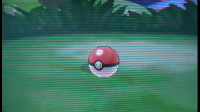 Shiny Pancham!! (LIVE!!) After 713 RE's! Pokemon Y смотреть онлайн