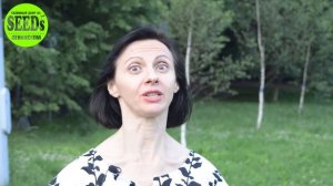 Клевер на газоне или клевер вместо газонной травы.Какой лучше выбрать