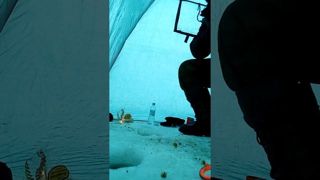 Зимняя рыбалка на Воронежском водохранилище смотреть онлайн