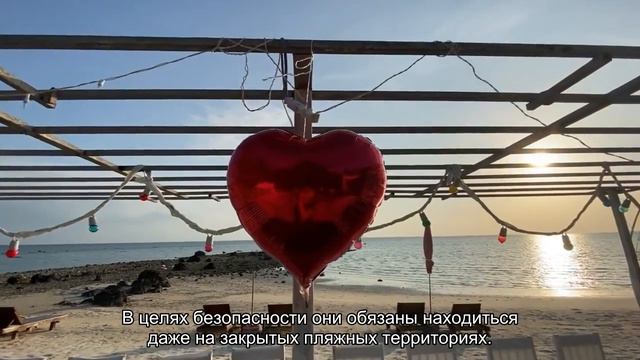 Россиян предупредили об опасностях купания в Черном море во время шторма смотреть онлайн