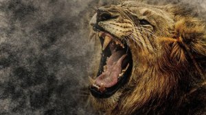 Лев во сне К чему снится лев?