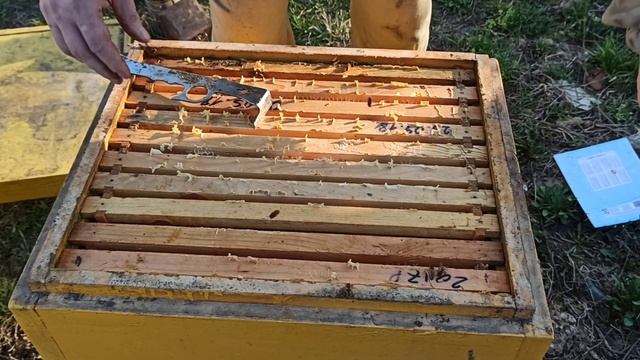 Почему нужно зимовать на одном корпусе Рут смотреть онлайн