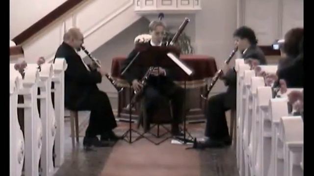 Donizetti-Una furtiva lacrima - Trio Sapcu смотреть онлайн