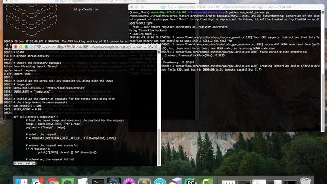 Deep learning in production with Keras, Redis, Flask, and Apache смотреть онлайн
