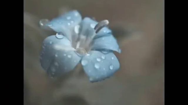 Счастье смотреть онлайн